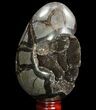 Septarian Dragon Egg Geode - Black Crystals #96730-1